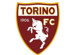 logo TORINO