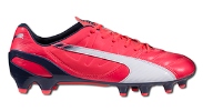 evospeed 1.3